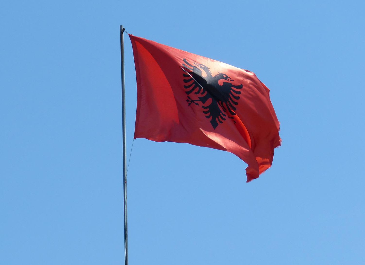 Seven fugitives wanted by the Spanish authorities arrested in Albania