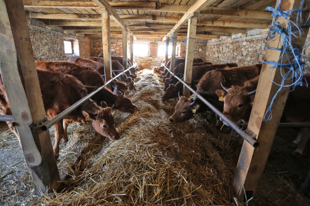 Growing Pains: Albania&rsquo;s Farmers Find Pathway to EU Markets Hard to Follow